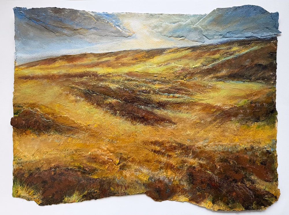 A Rugged Landscape by Nicole Dickinson